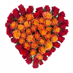 Bouquet de rose en coeur