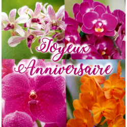 Carte "Joyeux Anniversaire"