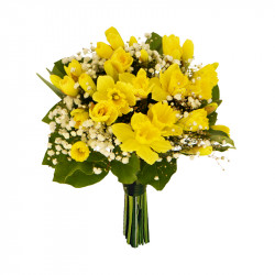 20 Jonquilles + 1 gyposphile