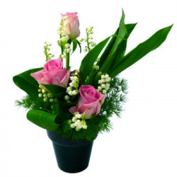 Muguet du 1er mai : "Jolie...