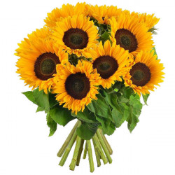 Bouquet de l'été -  9...
