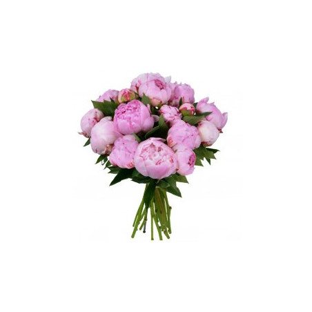 Bouquet de 9 pivoines