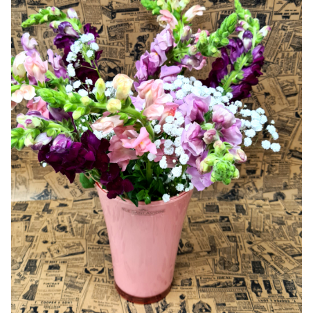 Bouquet - Muflier d'été