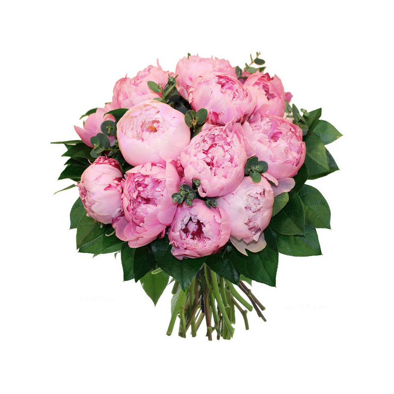 Bouquet de pivoines clermont ferrand Bouquet de pivoines clermont ferrand