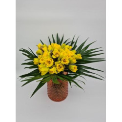 50 JONQUILLES