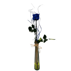 Basic- ROSE ETERNELLE BLEU...
