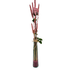 Basic- ROSE ETERNELLE ROSE...