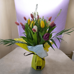 Frénésie de Tulipes