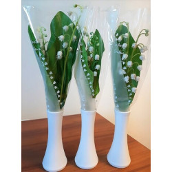 Eternel Muguet