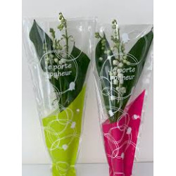 Le muguet du bonheur