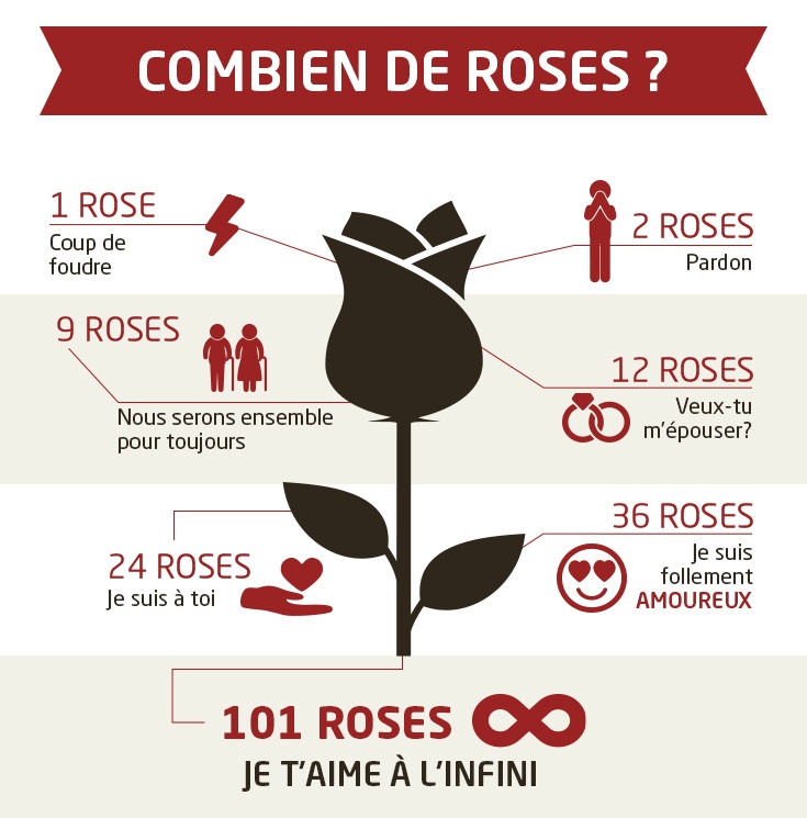 Entre origine, symbolique et tradition, quelles fleurs offrir pour la Saint  Valentin ?