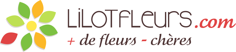 Lilotfleurs